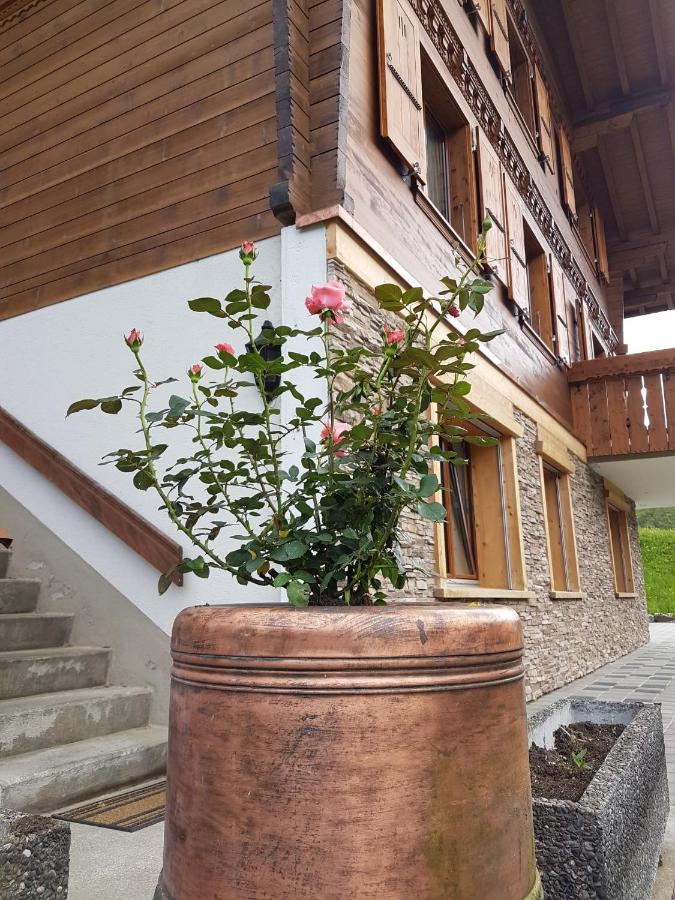 Chalet Grueneggli Adelboden Exteriér fotografie