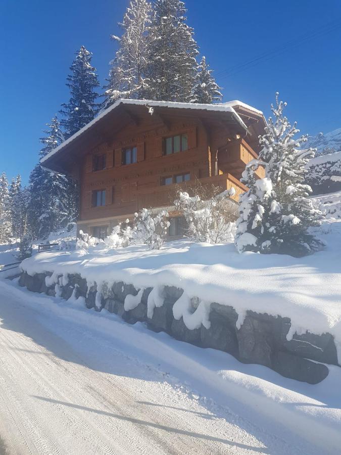Chalet Grueneggli Adelboden Exteriér fotografie