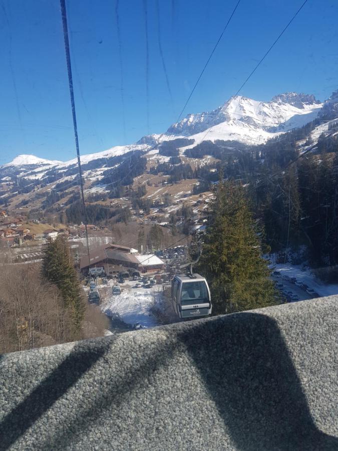 Chalet Grueneggli Adelboden Exteriér fotografie