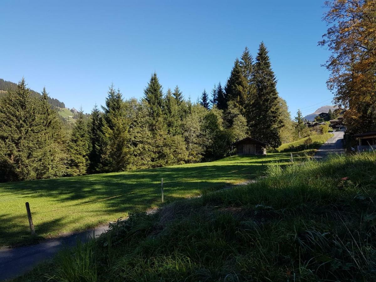 Chalet Grueneggli Adelboden Exteriér fotografie