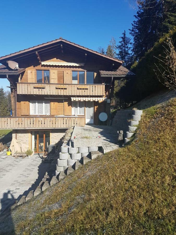 Chalet Grueneggli Adelboden Exteriér fotografie