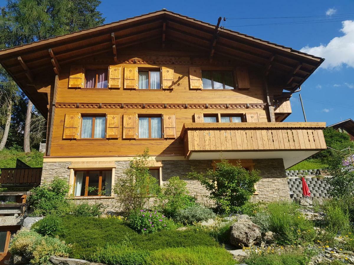 Chalet Grueneggli Adelboden Exteriér fotografie